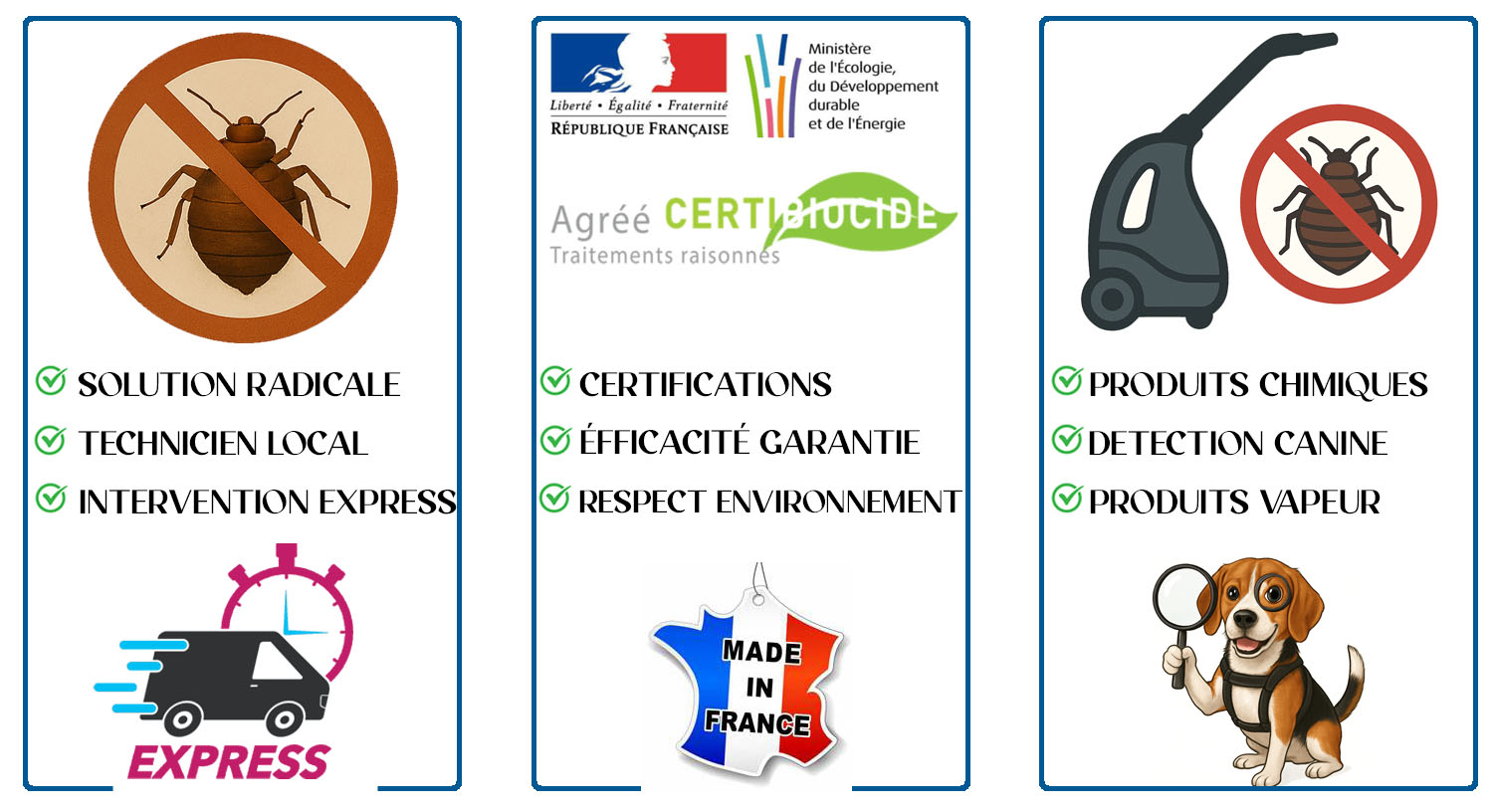 Punaises de Lit Fontenay aux Roses